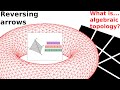 What Is Cohomology 
