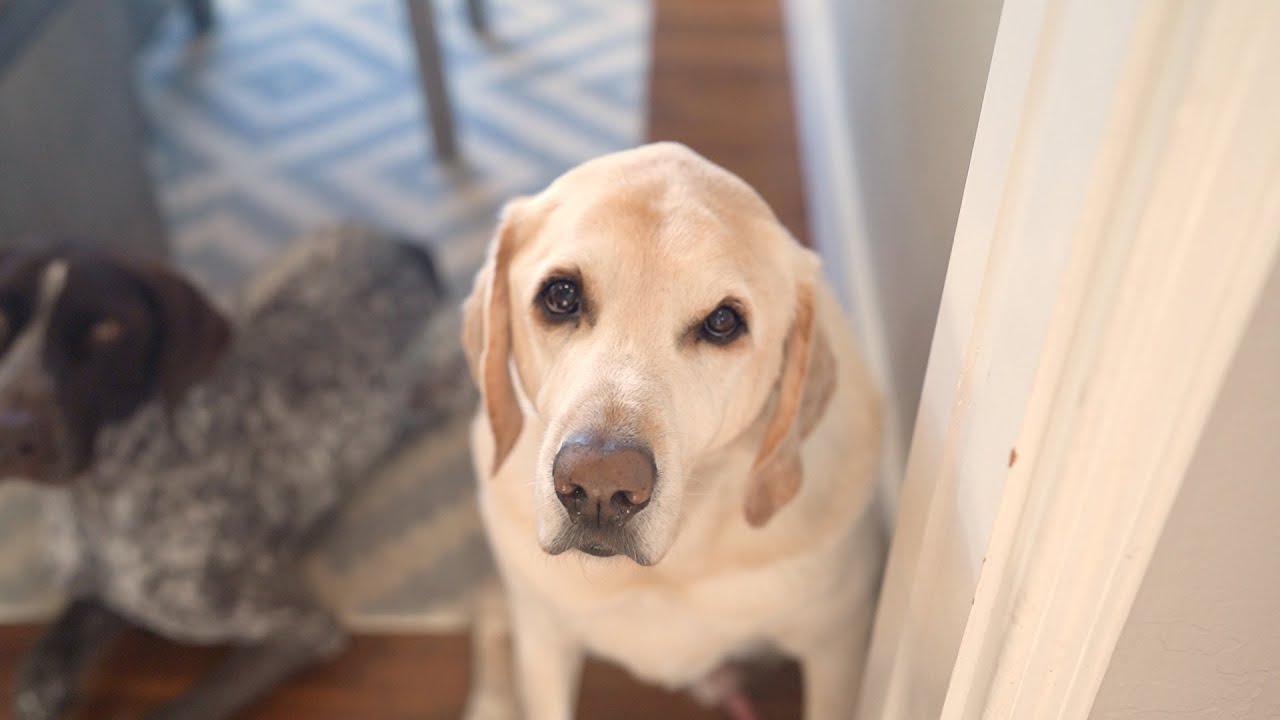 Training the baby to give us food