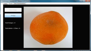 Orange Grading Software Using Deep Learning - by RSIP Vision
