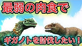 Ark Ps4 実況 恐竜が湧かない時の対処法とスピノサウルスの赤ちゃんの紹介 バルゲロ ソロプレイ パート15 Youtube Ark Ps4 実況 恐竜が湧かない時の対処法とスピノサウルスの赤ちゃんの紹介 バルゲロ ソロプレイ パート15 Youtube