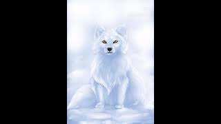 Arctic Fox Speed Painting Arctic Fox Speed Painting