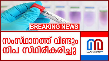 കേരളത്തില്‍ വീണ്ടും നിപ സ്ഥിരീകരിച്ചു I Nipah Virus Confirmed In kerala