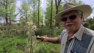 Thistle Harvest