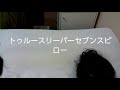 【定価15000円の枕】トゥルースリーパーセブンスピローを１年間使ってみました