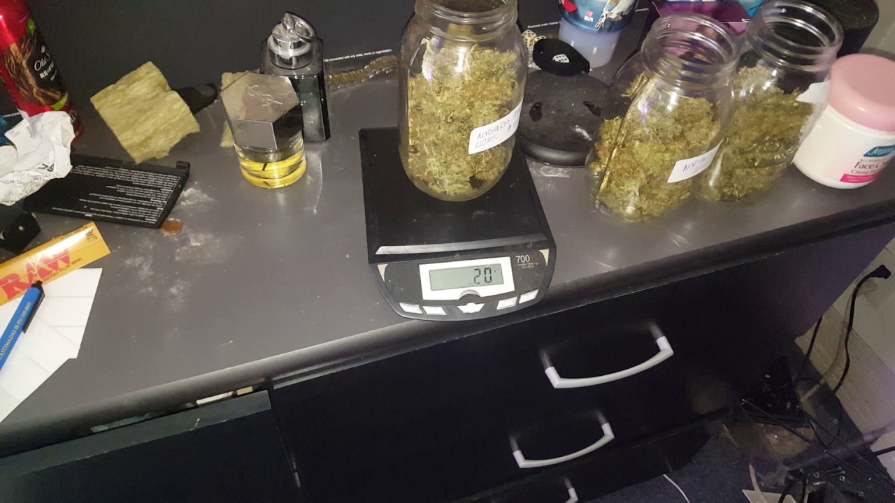 Northern Lights Auto Yield