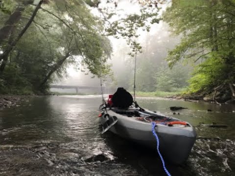 Big Smallmouth Bass on small creek, Morehead Ky. Kentucky Creek Adventures