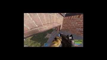 Is he blind or troll ? #rust #rustshorts #rustcontent #rusttrolling