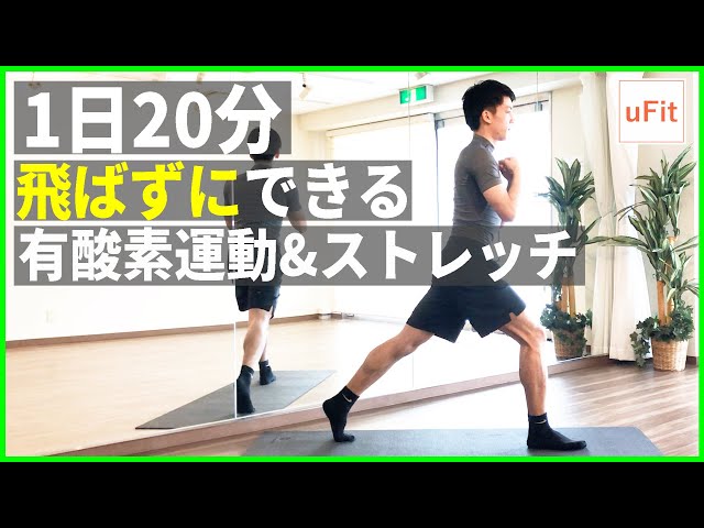 お気軽ダイエット、エクササイズ、健康 新品】【フィットネス/健康/ダイエット/トレーニング