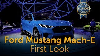 2021 Ford Mustang Mach-E - First Look