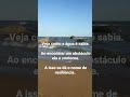 Em finanças resiliência é muito importante! #shorts