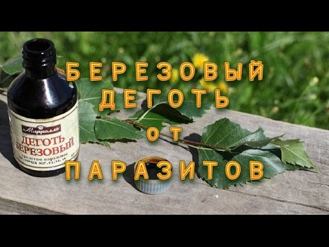 Избавляйся от ПАРАЗИТОВ. БЕРЕЗОВЫЙ  ДЕГОТЬ.