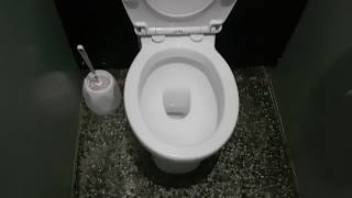 Letdown: LLBIPB Brandless + 1930s TWYFORDS Urinals, PH, Coventry (1)
