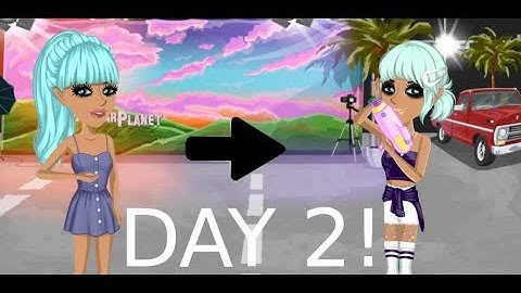 MSP Beginners Guide Day 2!