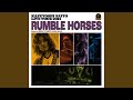 この古着は誰が着ていたんだろう(“Rumble Horses” Live at ZEPP TOKYO...