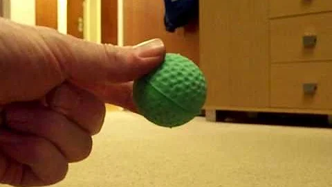 Watch the video about Indiana Shooting Star - Bengal cat plays fetch