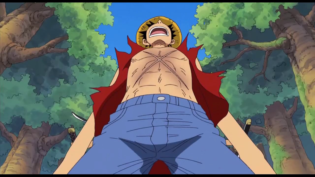 Luffy fights Zoro YouTube