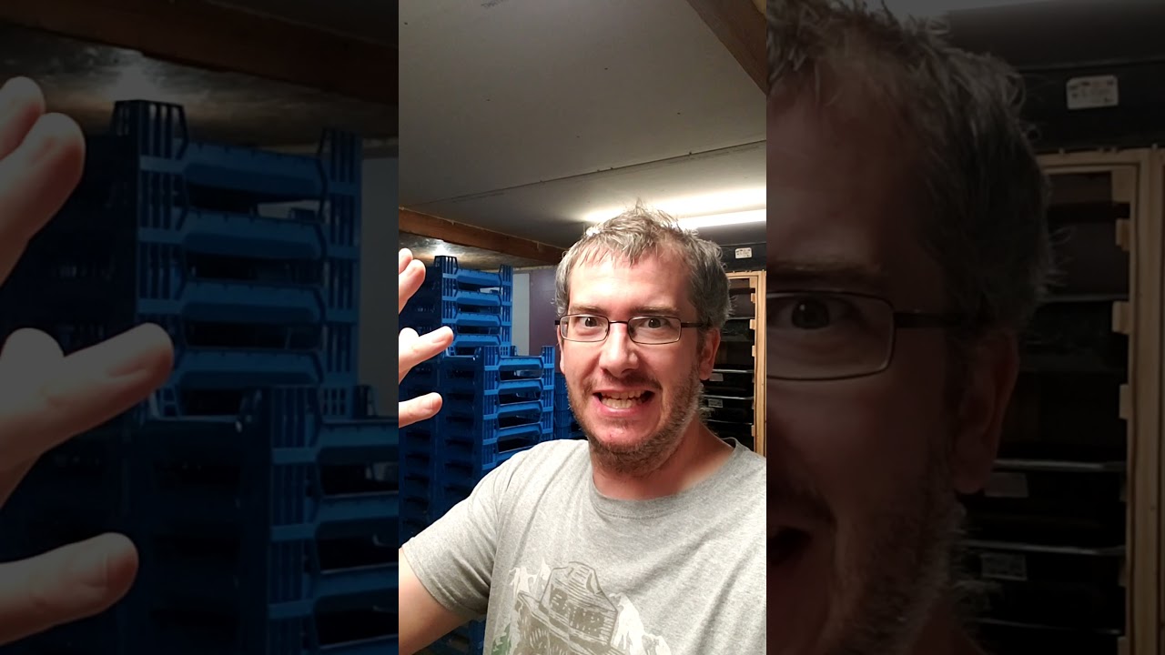 Selling mealworms locally - YouTube
