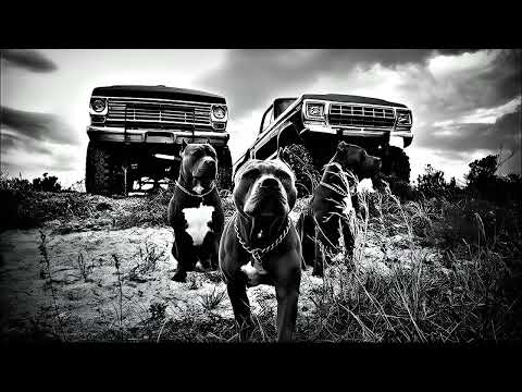 ПАЦАНСКИЕ ТРЕКИ НОВИНКИ МУЗЫКИ В МАШИНУ СБОРНИК НА РАЙОН