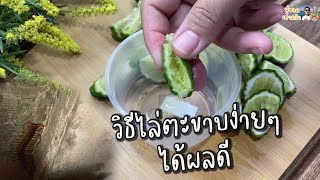 How to get rid of centipedes ‼️ Simple but very effective