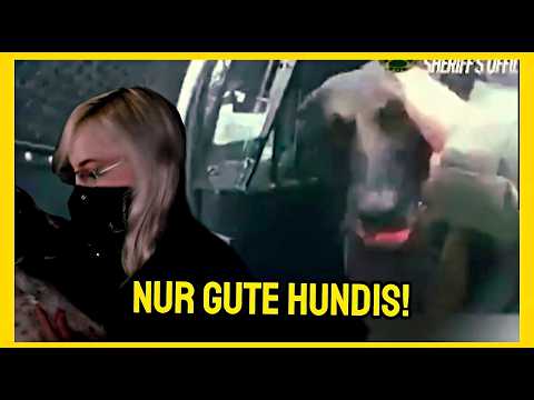 Die BESTEN K9 Takedowns: Wenn Hunde keine Gnade kennen 🚔🐶 || DropMeHome