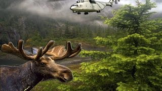 Животные - хулиганы Животные - хулиганы