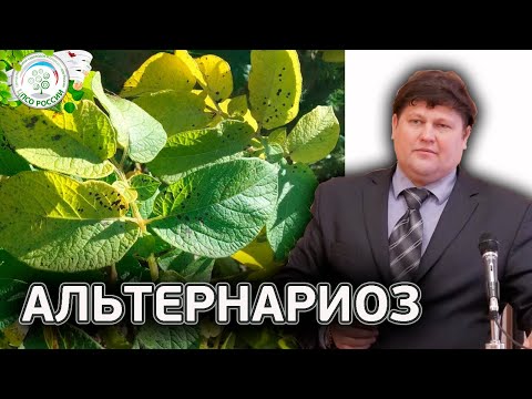 Video: Alternaria Tomato