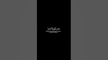 Surah Al-Mulk 19 سورة الملك @QuranCadence #qurancadence