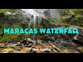 Maracas stjoseph waterfall  tallest waterfall in trinidad  good for beginner hikers  worth it 