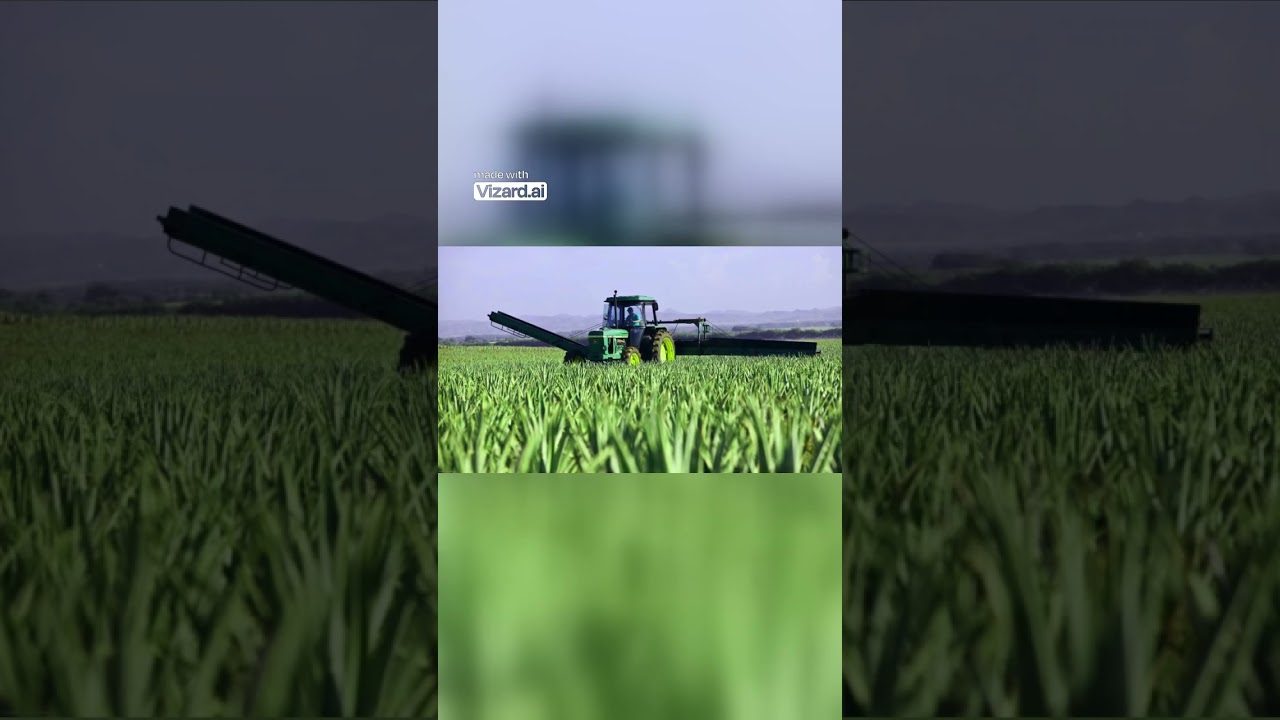 Punjab Economy #agriculture ,#indianeconomy ,#greenrevolution ,#punjabhistory ,#agricultureinindia ,