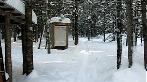 Martins Old Off Grid Log Cabin #3 Outside Tour