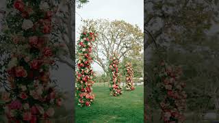 Radiant Citrus Blooms