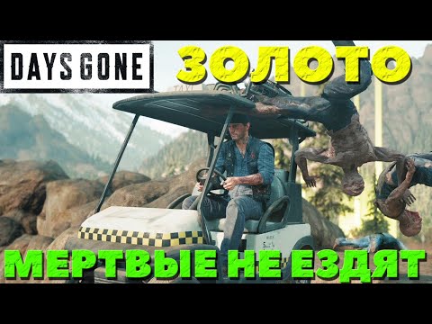 Видео: Days Gone(Жизнь После) - Золото! Мертвые не ездят!