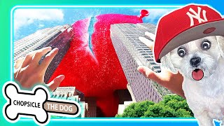 Massive Water Balloon Reacting To Giant Water Balloon By Buttered Side Down - Chopsicle The Dog