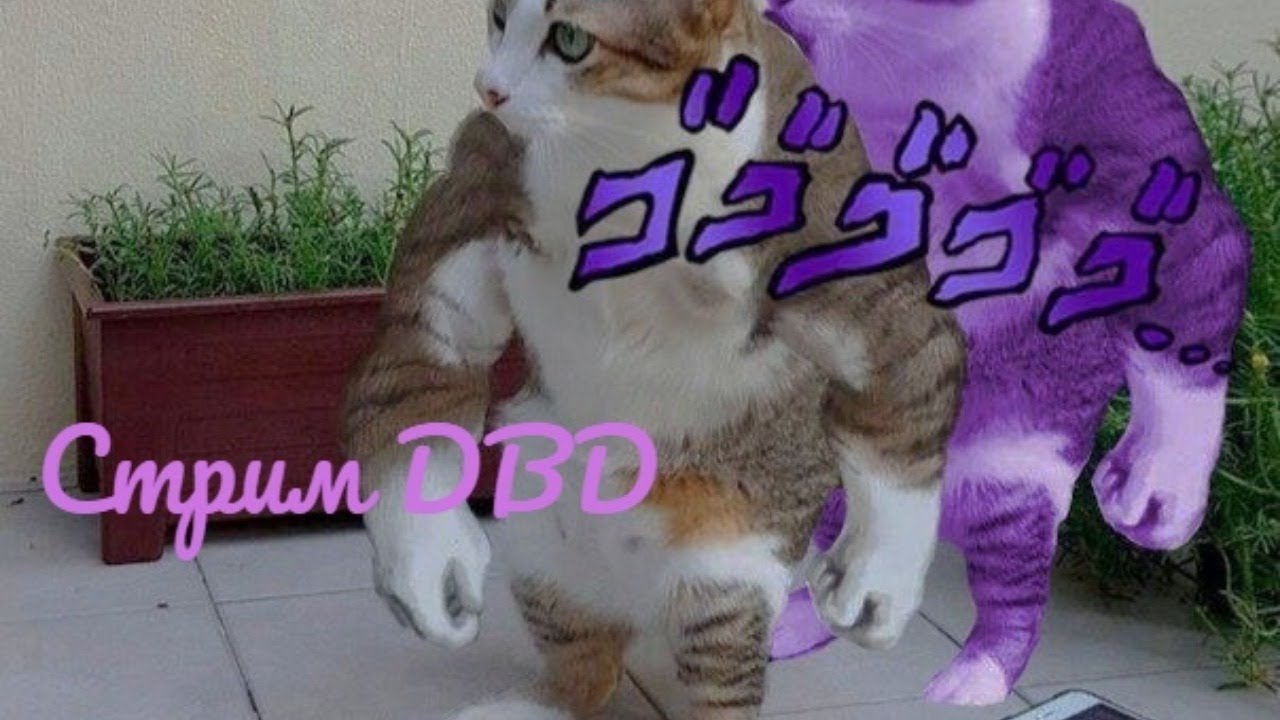Dendenden Bu