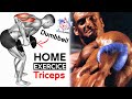 TRICEPS EXERCISES WITH DUMBBELLS AT HOME