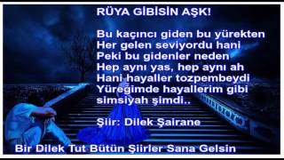 ~* Rüya Gibisin Aşk Şiir: Dilek Şairane ~ Yorum: Özlem Demirkaya *~