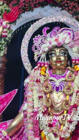 Today’s Gadadhar Pandit appearance day darshan 08-05-2024 #mayapurtv #krishna #mayapur #shorts