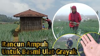 Mbak Novi Petani Happy Kalau tau obat ini !!! Pasti di pakai