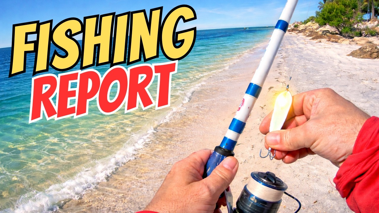 Отчет о рыбалке на пляже Тарпон-Спрингс: парк Фреда Ховарда, Флорида - середина февраля 2026 года