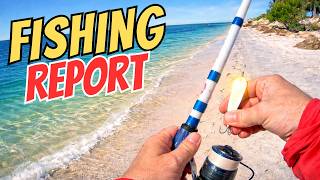 Tarpon Springs Beach Fishing Report: Fred Howard Park, FL - Mid February 2026