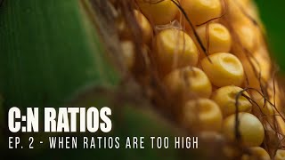 C:N RATIOS: When the Ratios Get TOO HIGH