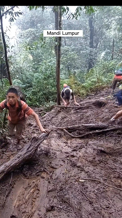 Jalur Lumpur Gunung Halimun Sukamakmur #short #shorts #ytshorts