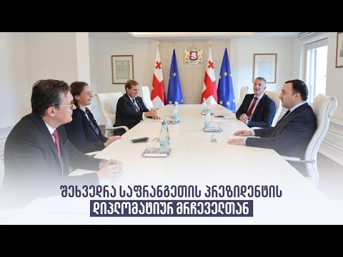 შეხვედრა საფრანგეთის პრეზიდენტის დიპლომატიურ მრჩეველთან