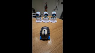 Vector Robot Meets Three Eilik Robots For The First Time! #shorts
