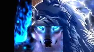 Wolf Wallpaper Slideshow