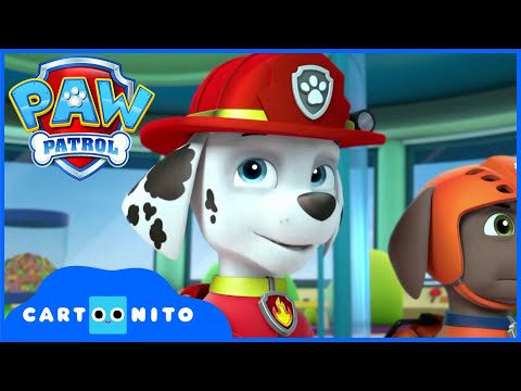 PAW PATROL | Köpekler Treni Kurtarır | Cartoon Network Türkiye