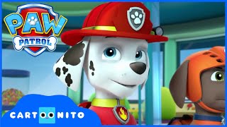 Paw Patrol Köpekler Treni Kurtarır Cartoon Network Türkiye