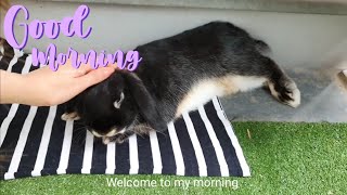 BUNNY FLOPS FOR BUNNY MOM | LIFE OF KIKI