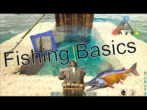 Ark: How fishing works. What it's all about! 