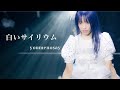 youmenosay「白いサイリウム」Music Video